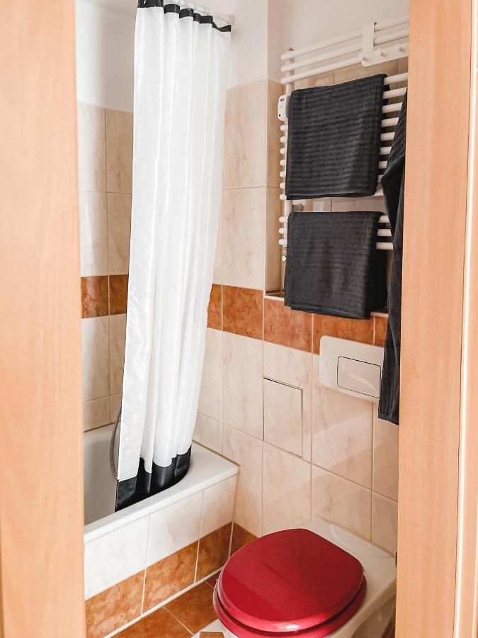 Schoene Wohnung, Eigene Terrasse, Privater Parkplatz, Wi-Fi, Waschmaschine, 3P Chemnitz Bagian luar foto